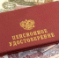 Россияне рассказали, какой размер пенсии им кажется приемлемым - AmurNews.Ru