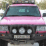 Розовый Land Cruiser и бабочки по кузову — ТОП-15 женских авто - Blagoveshensk.Ru