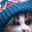 В одном из районов Белогорска отопление могут дать позже 2 октября - Amur.Info