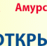 ЧП на таможне в Хэйхэ: у одного из туристов требовали взятку за возможность вернуться домой - Asn24.Ru