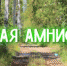 «Лесная амнистия» в действии на территории Амурской области - Администрация Октябрьского района