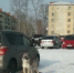 В Белогорске собаку оставили прикованной к машине на улице - Amur.Net