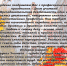 Поздравление ректора БГПУ с Днём Учителя! - БГПУ