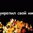 Опрос: а ты укрепил свой иммунитет? (видео) - Amur.Info