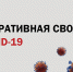 Плюс 150: в Амурской области 13 311 случаев COVID-19 - Asn24.Ru
