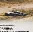 Карточки АСН24: правила владения оружием - Asn24.Ru