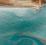 Море окрасилось раз, море окрасилось два - Amur.Info