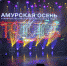 Фестивалю театра и кино «Амурская осень» дали старт со сцены ОКЦ - ИА Город