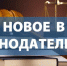 Утверждены новые индикаторы риска для внеплановых проверок в сфере земельного надзора - Россельхознадзор