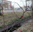 В Амурской области 13 октября местами на севере небольшие и умеренные осадки - Teleport2001.Ru