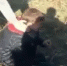 В Хабаровском крае подростки жестоко избили ребенка и сняли это на видео - Amur.Life