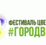 В Благовещенске открыли прием заявок от участников первого городского фестиваля цветов - Asn24.Ru