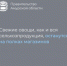 Свежие овощи, как и вся сельхозпродукция, останутся на полках магазинов - Администрация Октябрьского района