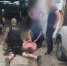 Благовещенские полицейские задержали двоих курьеров – пособников мошенников - gtrkamur.ru - ГТРК Амур
