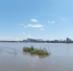 На Амуре обнаружили маслянистое пятно - Amur.Info