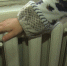 В домах райчихинцев снова похолодало из-за сбоя на котельной - gtrkamur.ru - ГТРК Амур