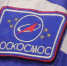 На космодроме Восточный опробуют доставку на орбиту пикоспутников  - Teleport2001.Ru