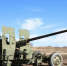 Добровольцы и военнослужащие ВВО тренируются в стрельбе из зенитных пушек - ИА Город