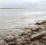 В Приамурье подняли допустимый возраст нахождение у водоемов детей без взрослых - gtrkamur.ru - ГТРК Амур