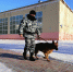 Шесть школ "заминировали" в Благовещенске - Teleport2001.Ru