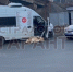 Водитель пассажирского автобуса скончался прямо за рулем - Amur.Life