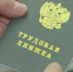 Одиноких родителей детей до 16 лет запретят увольнять в России - ИА Порт Амур