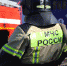 За минувшие сутки пожарно-спасательные формирования Приамурья семь раз выезжали на тушение пожаров - МЧС Амурской области