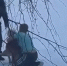Жуткое видео о собаке грызущей шпица опубликовали в амурских соцсетях Шпиц погиб 18 - Amur.Life