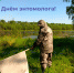 День энтомолога - Центр гигиены и эпидемиологии