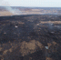 Пожарные Приамурья за минувшие сутки ликвидировали 12 очагов горения сухой растительности - МЧС Амурской области