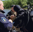 Фото: скриншот видео Амурский центр ГЗ и ПБ - Амурское областное телевидение
