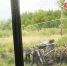 Второе за сутки жесткое ДТП произошло на трассе Благовещенск  Гомелевка - Amur.Life
