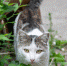 Скорпионы будут волноваться, Тельцы пострадают от недостатка информации - ИА Порт Амур
