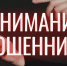 Telegramаккаунт главы амурского Роспотребнадзора клонировали мошенники - Amur.Life