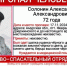 Полиция, волонтеры и лесничий ищут пенсионера, пропавшего в Селемджинском районе - Teleport2001.Ru