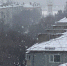 Завтра днем Приамурье начнет засыпать снегом - gtrkamur.ru - ГТРК Амур