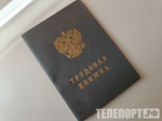Дворники возглавили список самых дефицитных специалистов в Приамурье