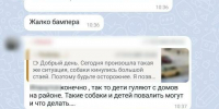 После нападения собак на женщину в «Европейском», на улице нашли мертвое животное (фото) - Amur.Life