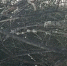 Верба распустилась на севере Амурской области - Teleport2001.Ru