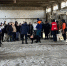 В Приамурье четвероногие спасатели вместе с волонтерами учились искать пропавших - gtrkamur.ru - ГТРК Амур