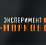 Фото: правительство Амурской области - Амурское областное телевидение