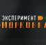 Талантливую молодежь Приамурья приглашают поучиться у мастеров и принять участие в эксперименте «Морковка» - Amur.Life