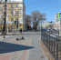 В администрацию Благовещенска пришли десятки сообщений с просьбой освободить тротуары от самокатов - ИА Порт Амур