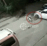 Удалось ли благовещенке чье авто погрызли бездомные собаки отсудить компенсацию у мэрии Суд поставил точку - Amur.Life