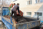 Будущие врачи присоединились к неделе субботников «Мы за чистоту»