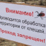 В парках Благовещенска 5 и 6 мая проведут обработку от клещей - Asn24.Ru