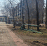 Фото: t.me/belogorsk28ru - Амурское областное телевидение