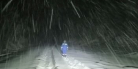 В Приамурье энергетики восстановили электроснабжение поселка Береговой - ИА Порт Амур