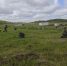 Военнослужащие весеннего призыва приступили к занятиям - Teleport2001.Ru