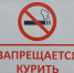 Вызывает рак: в одноразовых вейпах нашли высокие концентрации свинца и тяжелых металлов - Teleport2001.Ru